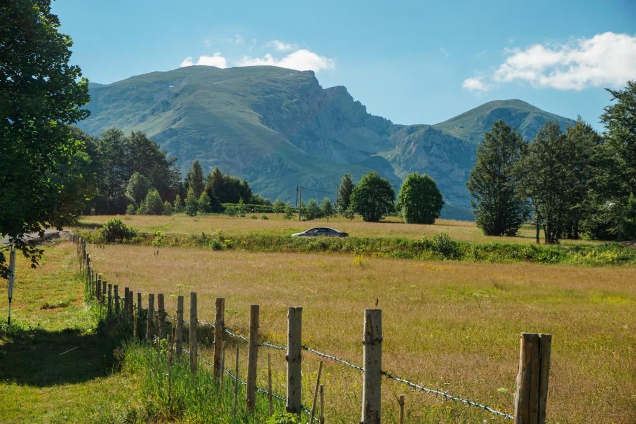 Vila Durmitor Nest Krstajic Žabljak Esterno foto