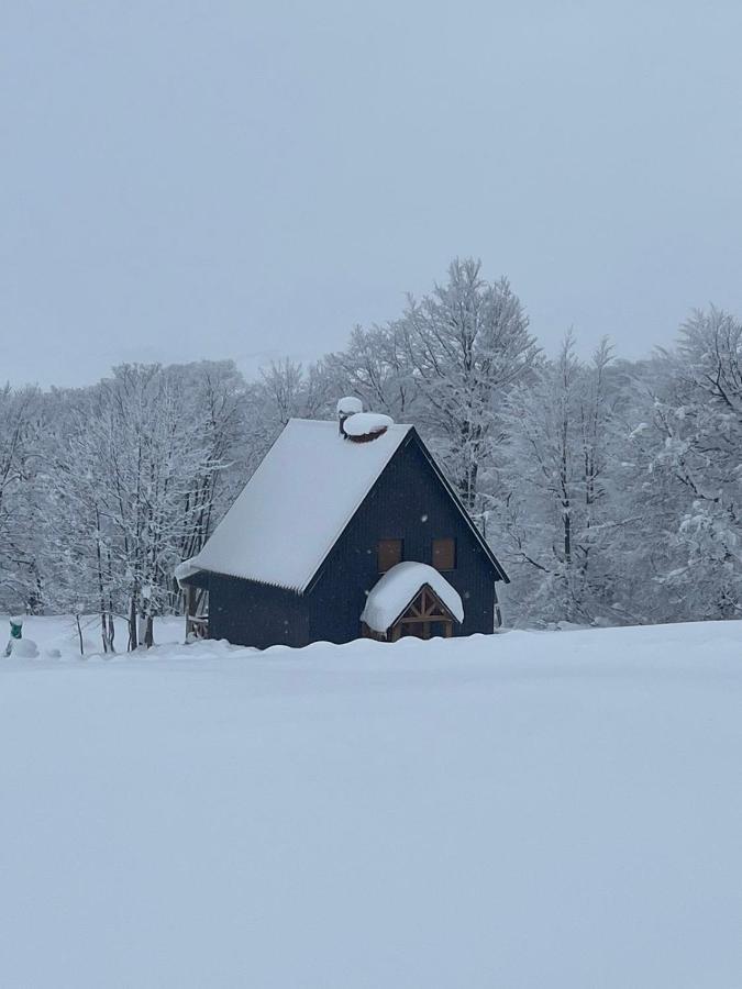 Vila Durmitor Nest Krstajic Žabljak Esterno foto